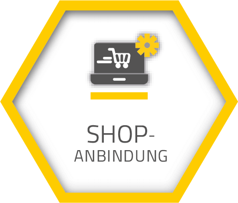 Shop-Anbindung in Systemhaus.One